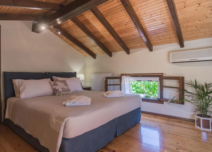 Tzeris House